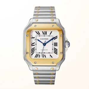 Santos De Cartier Steel & Gold