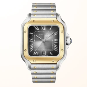 Santos De Cartier Steel & Gold Black