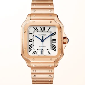 Santos De Cartier RG